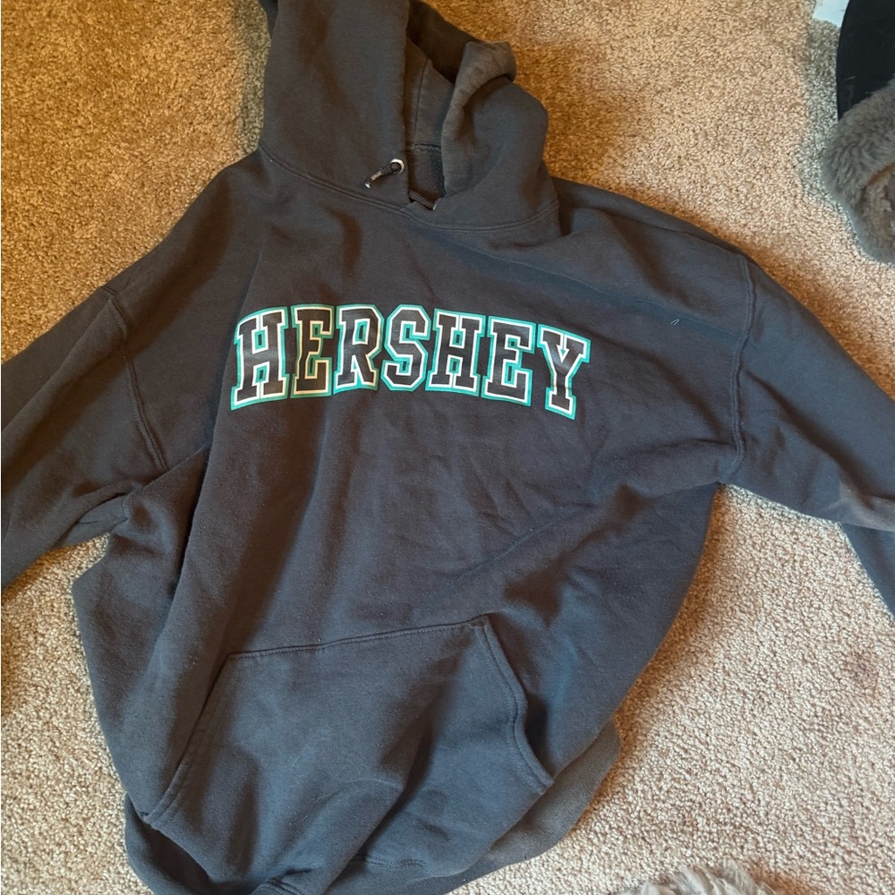 Hershey Gray Hoodie